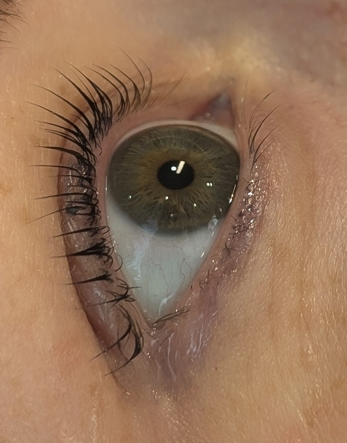 Close-up of a lash lift with lashes curled upwards