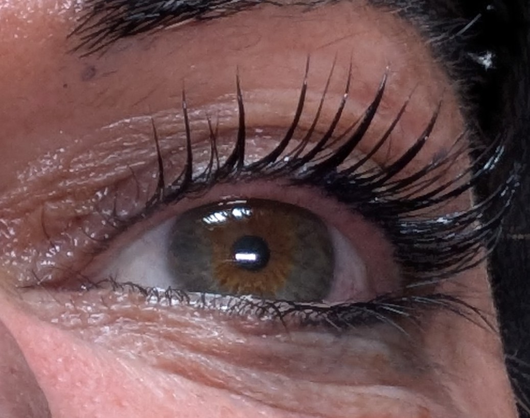 Side view of long, lifted lashes after a lash lift and tint